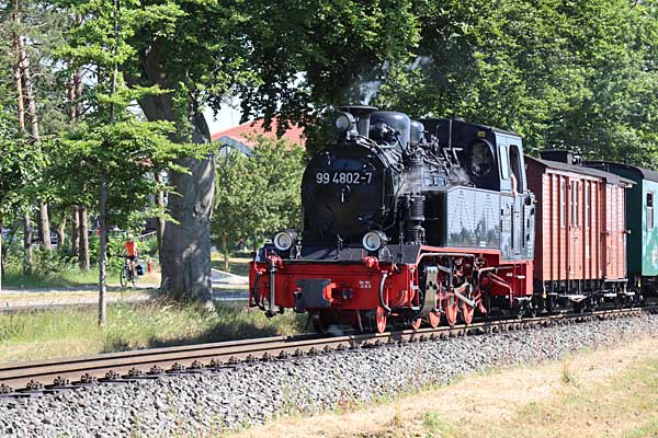 99 4802 zwischen Baabe und Sellin-Ost