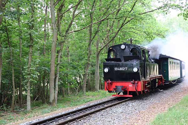 99 4802 bei Sellin-West