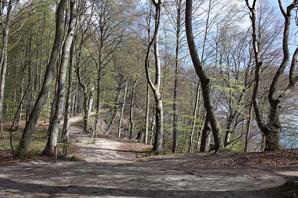 Hochuferweg bei Sassnitz