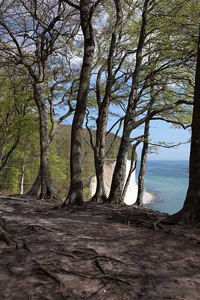 Hochuferweg bei Sassnitz