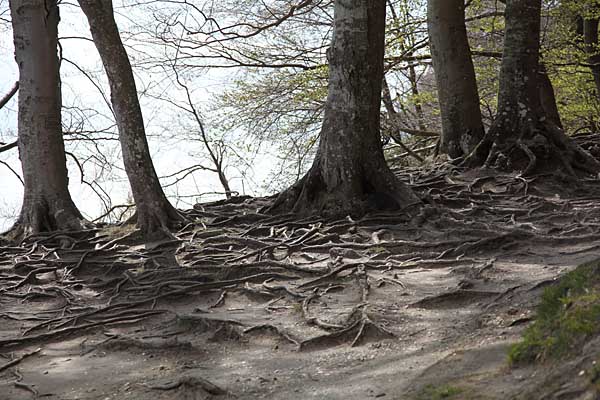 Hochuferweg bei Sassnitz