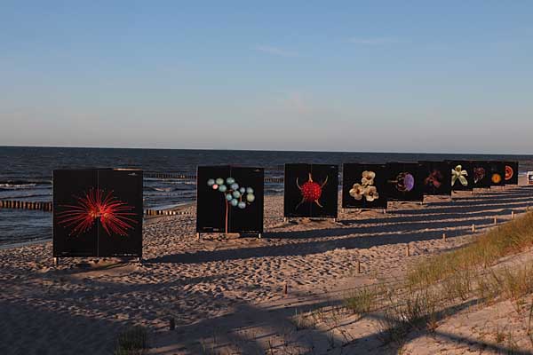 Zingst - Fotoausstellung am Strand